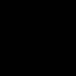 Meet your Posher, Ant